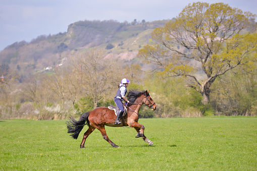 Landscape shot of horse and rider cantering across the English countryside on a spring day with Welsh mountains as a backdrop.