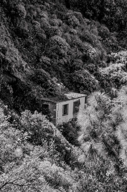 istock the old house among the cozy nature 1316931731