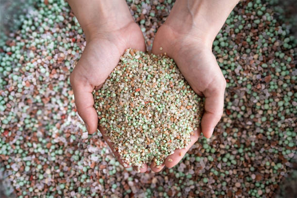 istock Garden Grass Care Fertilizer 1316932860