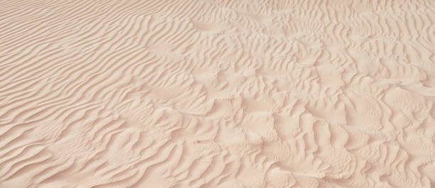 istock yellow sand dunes in the Abu Dhabi desert 1316936767