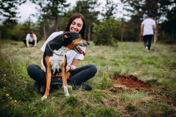 istock A woman plants a tree and a dog 1316937702