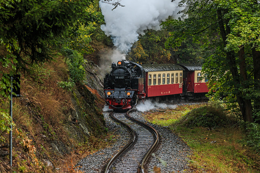 locomotora de vapor con vagones en las montañas de Harz photo