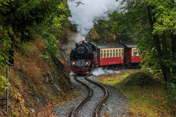 steam locomotive with wagons in the Harz Mountains Steam locomotive with wagon in a valley in the Harz Mountains. Narrow gauge railway in the mountains in rainy autumn weather. Trees and rock face along the railroad tracks passenger train photos stock pictures, royalty-free photos & images