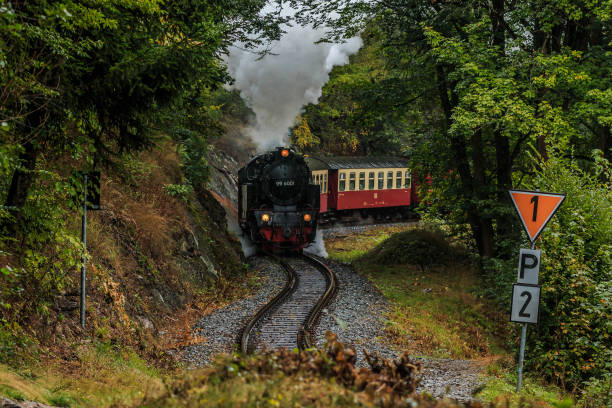 istock Narrow gauge railway in the Harz Mountains 1316941913