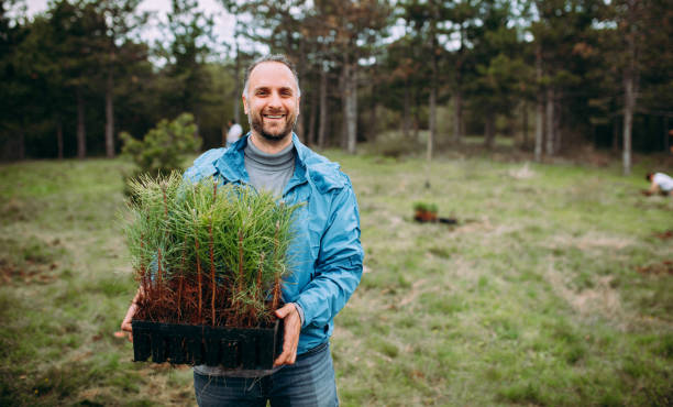 un hombre está plantando un árbol - plantar en maceta fotografías e imágenes de stock