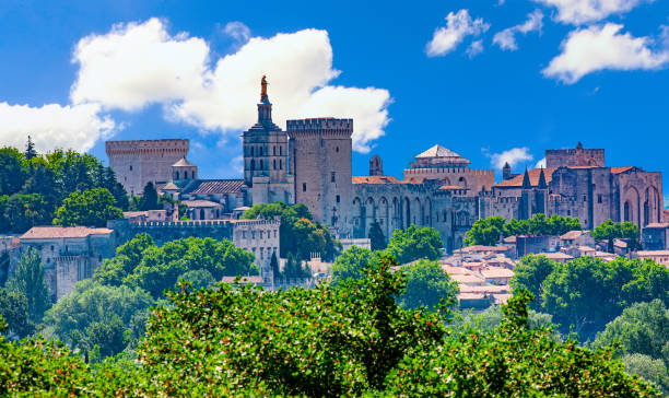 view of Palace of the Popes, Avignon, France The view of Palace of the Popes, Avignon, France avignon france stock pictures, royalty-free photos & images