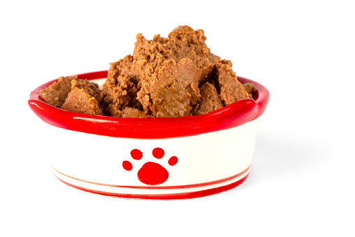 The Wet food for dog and cat in colored bowl isolated on white background