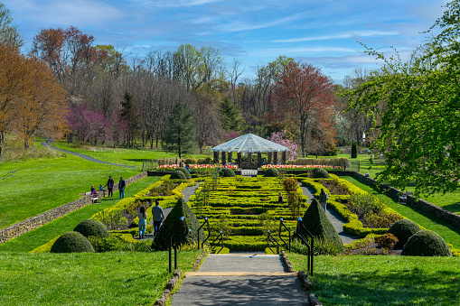 Middletown, NJ, USA - April 18, 2021: A scenic Spring view of the Rose Garden on April 18 2021 in Middletown New Jersey.