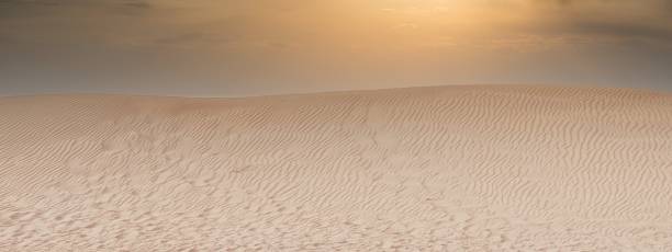 istock fragment of a dune in the desert at sunset 1316954893