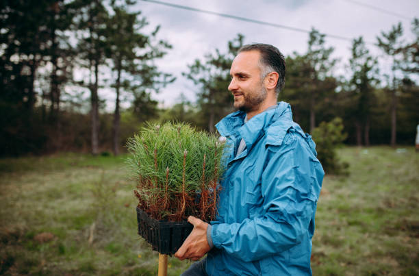 istock Man planting tree on Arbor day in springtime 1316959517