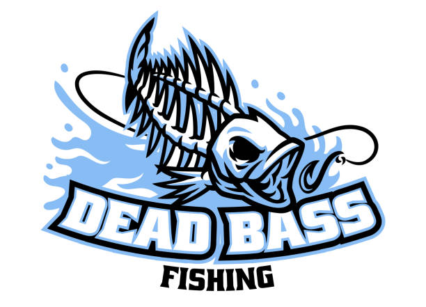bass fish skull mascot logo vector of bass fish skull mascot logo rowing boat fishing stock illustrations