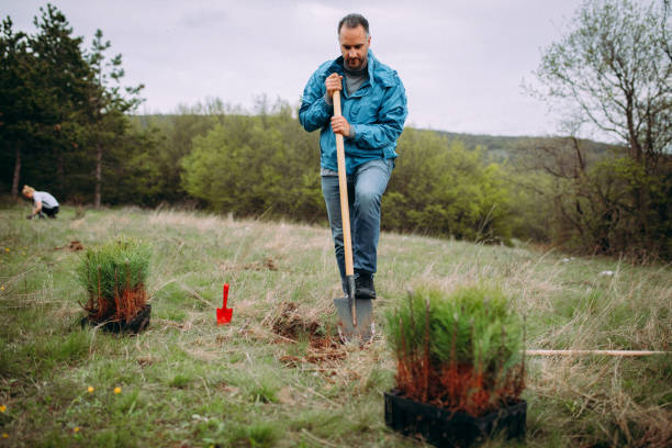 istock Man planting tree on Arbor day in springtime 1316962327