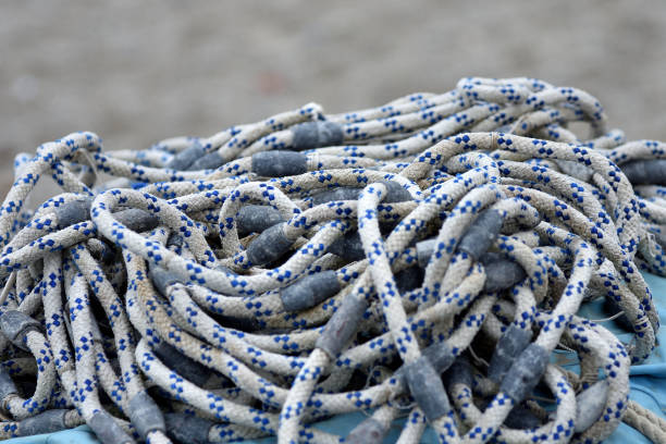 istock details of fishing nets 1316963447