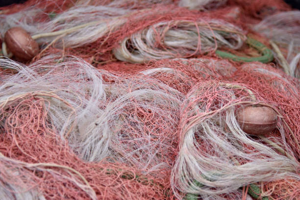 istock details of fishing nets 1316963496