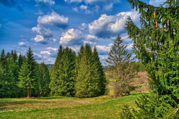 istock beautiful landscape at the Rennsteig in Thuringia 1316964019