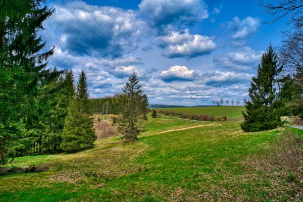 istock beautiful landscape at the Rennsteig in Thuringia 1316964326