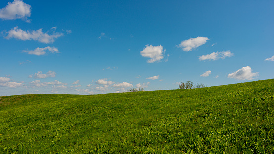Blue sky and green grass on a hilltop on a sunny day, panoramic landscape. Spring landscape, May. Web banner. Ukraine. Europe.