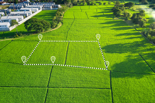 istock Land plot in aerial view for development or investment. 1316966020
