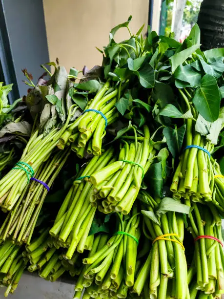 Shoots and leaves of Water Spinach, known in Southeast Asia as Kangkong, tied with rubber bands and sold at a public market.