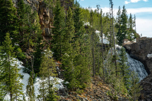 istock Yellowstone National Park 1316969011