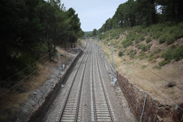 istock 2020/08/08 Train tracks in pine forest in Las Navas del Marques, Avila, Spain 1316969798