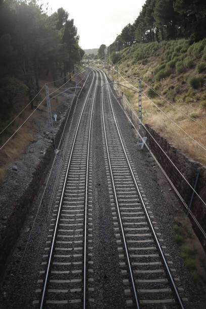 istock 2020/08/08 Train tracks in pine forest in Las Navas del Marques, Avila, Spain 1316969824