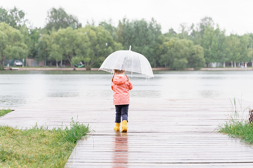 A kid girl standing under a umbrella and looking at the raindrops on the pond.