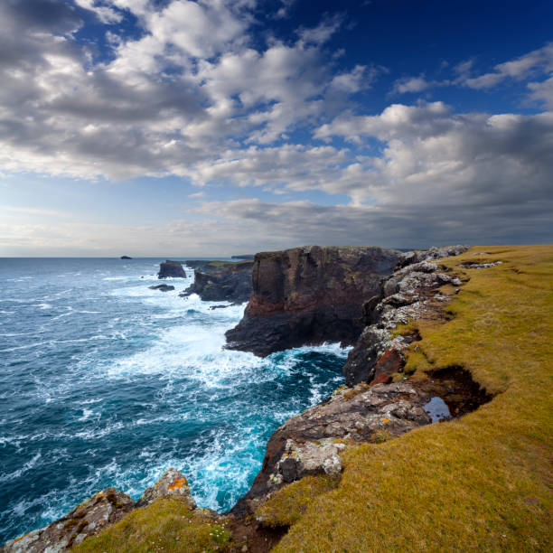 istock Shetland Islands, Scotland 1316975432