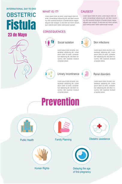 infografik über geburtshilfliche fistel - human pregnancy earth globe mother stock-grafiken, -clipart, -cartoons und -symbole