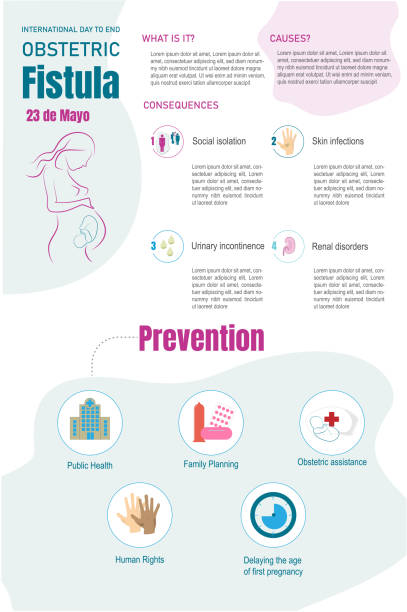 инфографика о акушерской свищ - human pregnancy earth globe mother stock illustrations