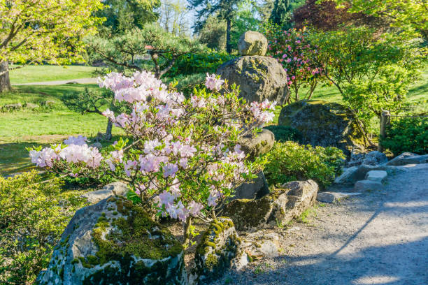 istock Scenic Botanical Garden 2 1316978586