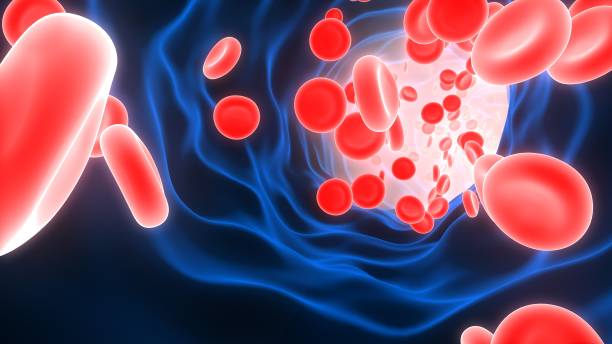 istock Red Blood Cells Flowing Through Circulatory System 1316981667