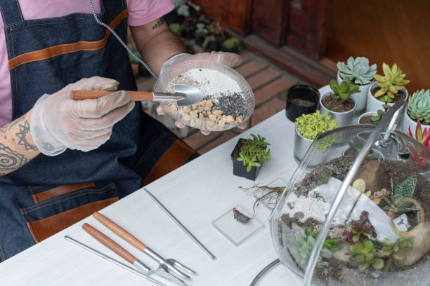 istock Man makes an send while finishing his class on YouTube to his followers in the class of creation and construction of succulent terrariums 1316982914