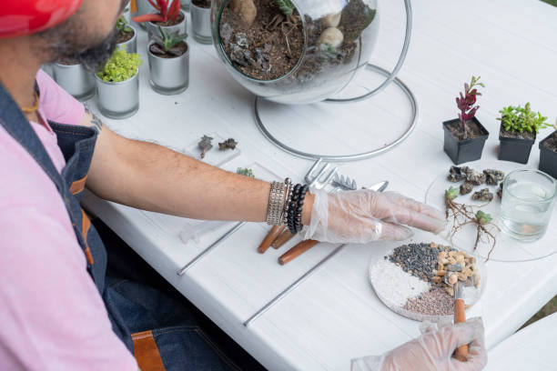 istock Man makes an send while finishing his class on YouTube to his followers in the class of creation and construction of succulent terrariums 1316982970