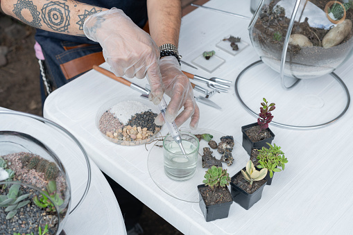 The Latino from Bogotá Colombia between 40 and 49 years old, makes a live while finishing his class on YouTube to his followers in the class of creation and construction of succulent terrariums.