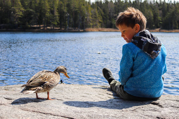 A boy and a duck near a lake