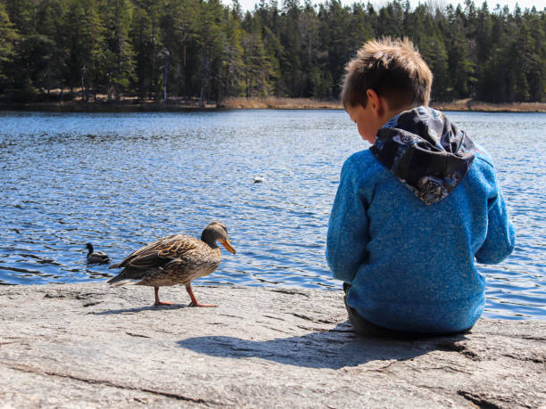 istock A boy and a duck near a lake 1316986474