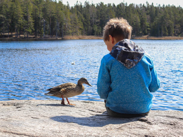 istock A boy and a duck near a lake 1316986490