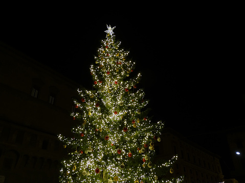 Christmas lights and Christmas tree in bologna, Emilia Romana, Italy