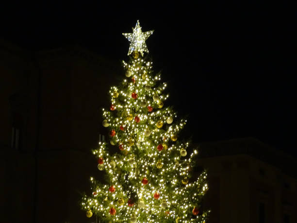 istock Christmas in Italy 1316986788