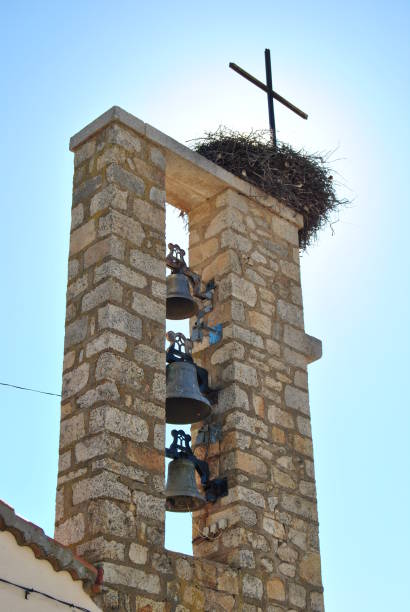 istock stork nest in bell tower 1316986857