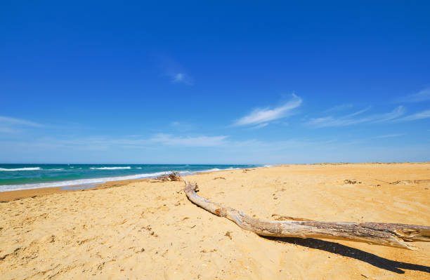 istock Sandy wild beach, blue sea with clouds and blue sky blur and filter focus on the coast. Beautiful blue ocean outdoor nature landscape, background or banner. Tourist summer vacation concept 1317000672