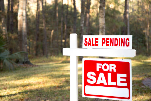 istock Home for sale with real estate sign.  Front yard. 1317001446