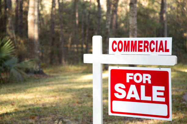 istock Home for sale with real estate sign.  Front yard. 1317001452