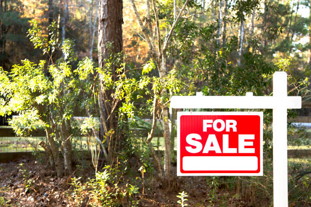 istock Home for sale with real estate sign.  Front yard. 1317001530