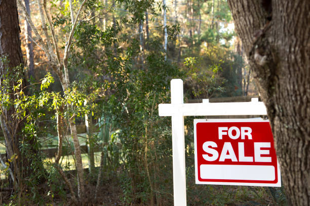 istock Home for sale with real estate sign.  Front yard. 1317001606