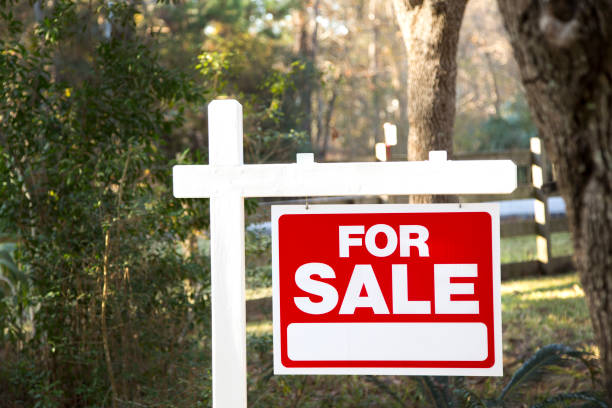 istock Home for sale with real estate sign.  Front yard. 1317001641