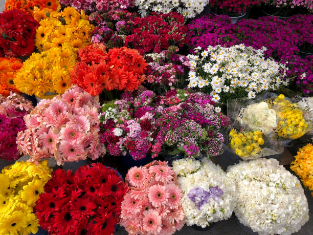 istock Florist shop 1317003731