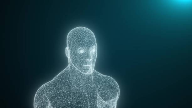 istock The Human Body Is Modeled of lines 1317005647