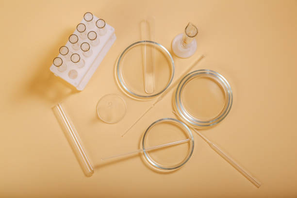 Laboratory glassware for bio science, organic skin care products, cosmetic research. Clean empty petri dishes test tubes, spatula on beige nude background. Top view cosmetic research circles. cristalería de laboratorio para biociencia, productos orgánicos para el cuidado de la piel, investigación cosmética. limpie los tubos de ensayo de placas de petri vacíos, la espátula sobre el fondo desnudo beige. círculos de investigación cosmétic